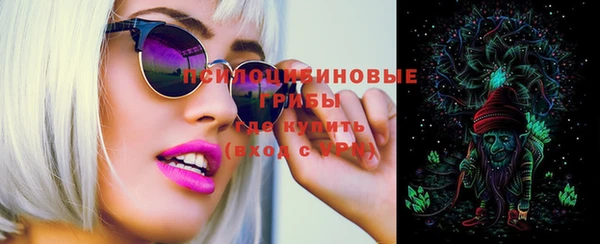 прущая мука Инсар