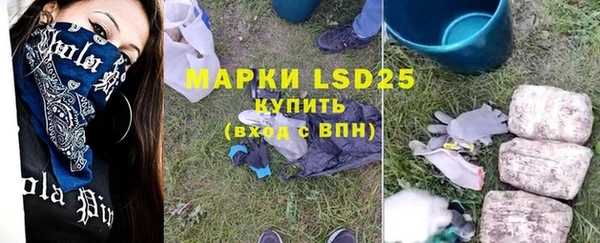 прущая мука Инсар