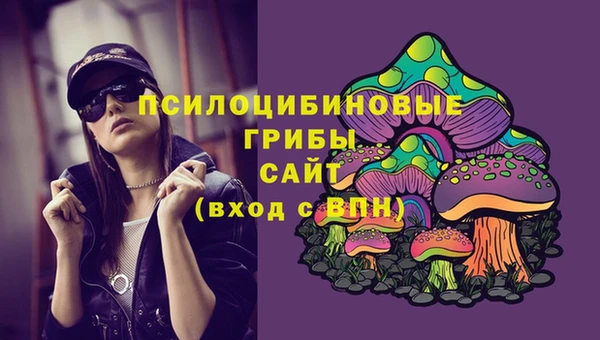 прущая мука Инсар