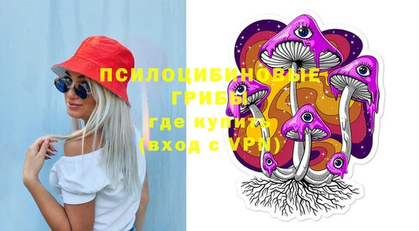 прущая мука Инсар